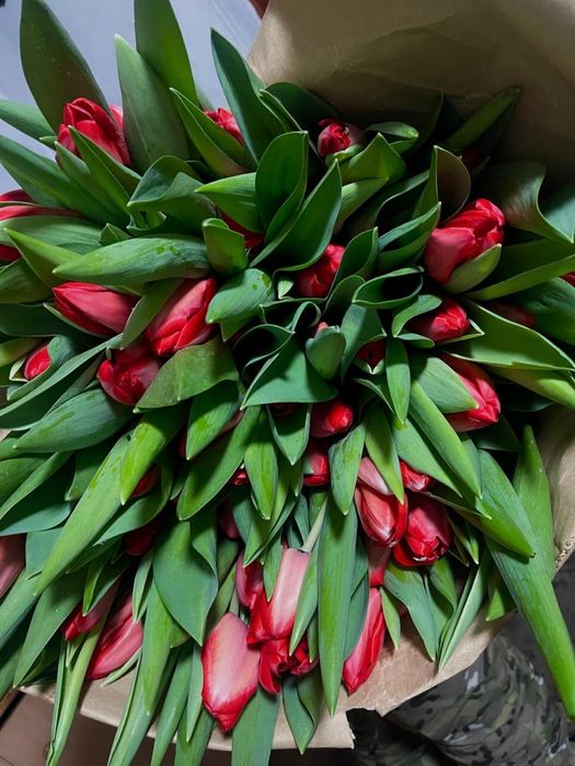 Тюльпаны Красные Желтые