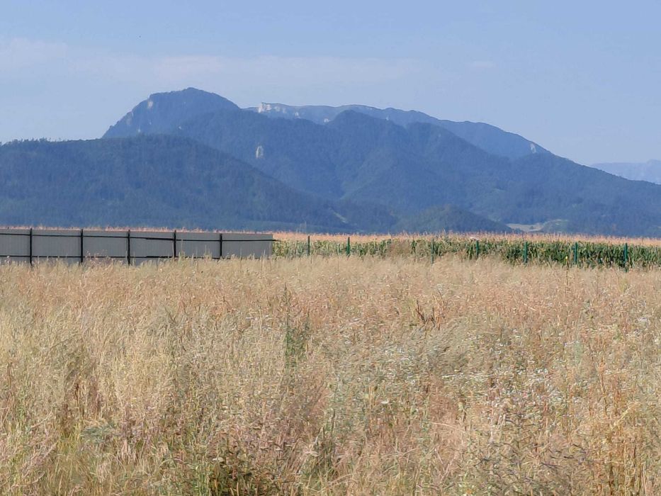 Ultimele Parcele Tarlungeni - 10 min Brasov - Teren de Vanzare 780 mp