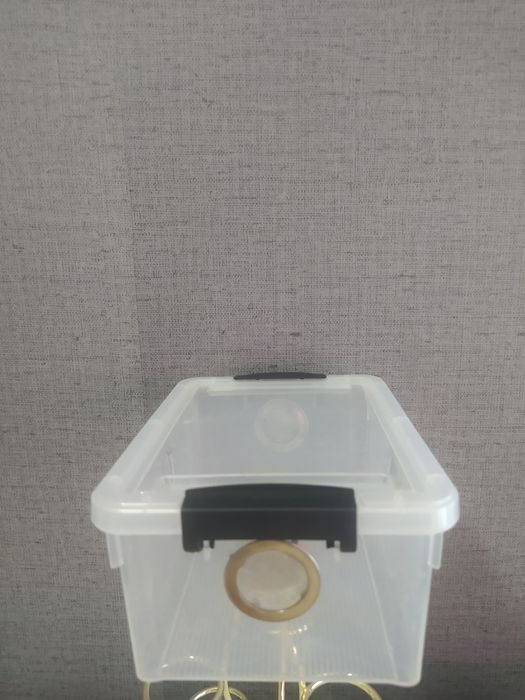 Продам террариум