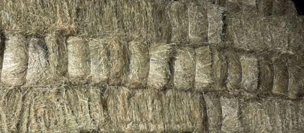 Сено 1000 тг оптам и розницу