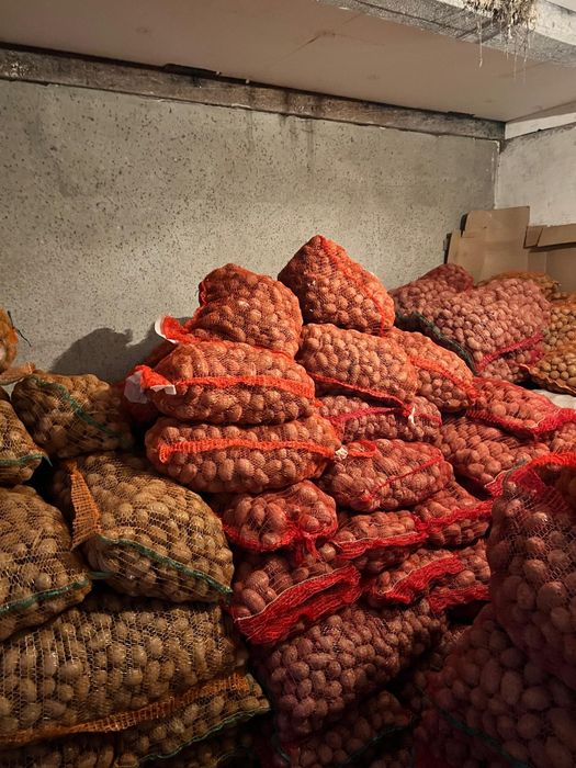 Vând cartofi de samanta !!!