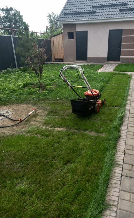 Покос травы. Разнотравие. Газон.