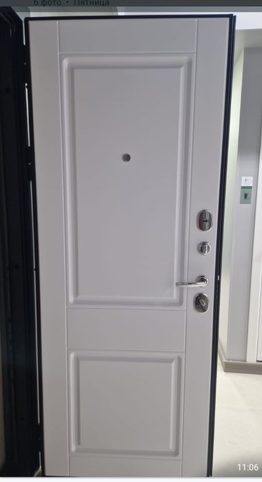Входные (металлические) двери