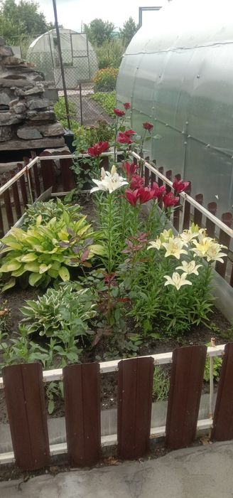 Продам дачу в поселке К.Кайсенова