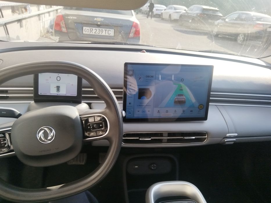 Dongfeng Nammi 01
