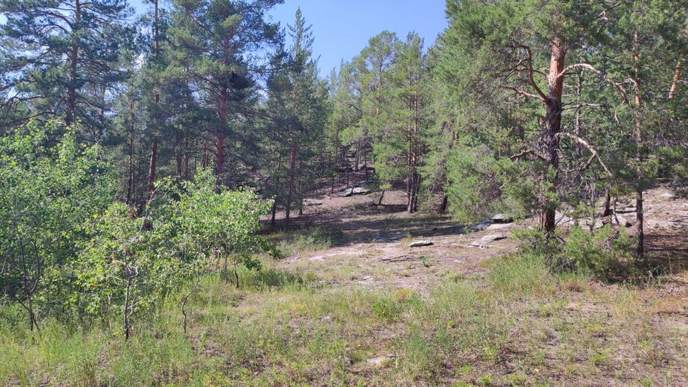 Земля в курортной зоне