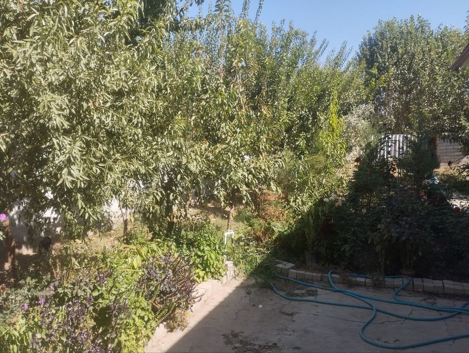 Файзли ховли сотилади 4 сотик