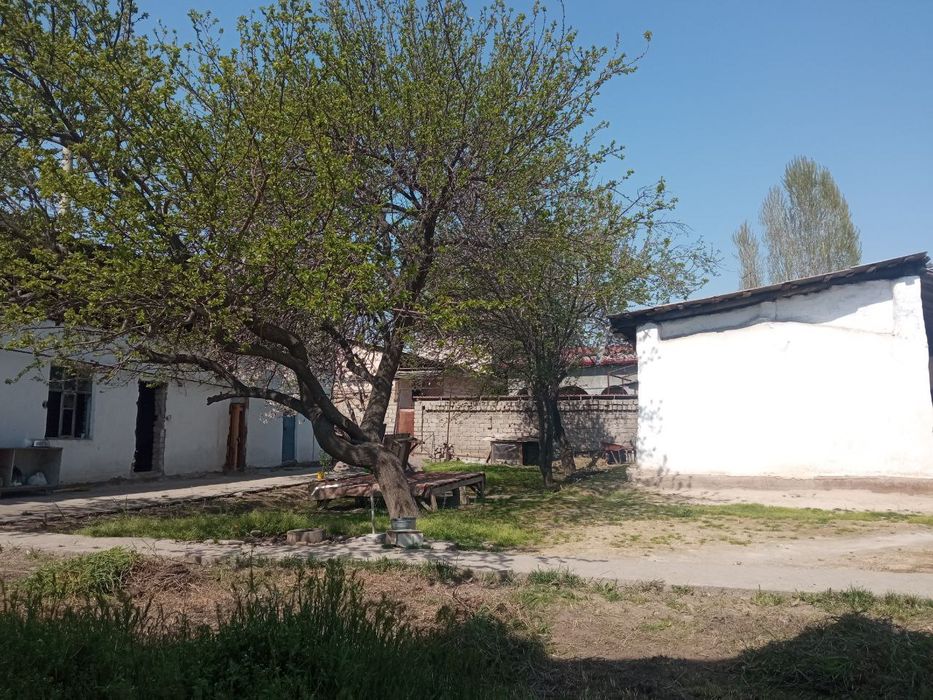 Ер сотилади 6.5 сотих