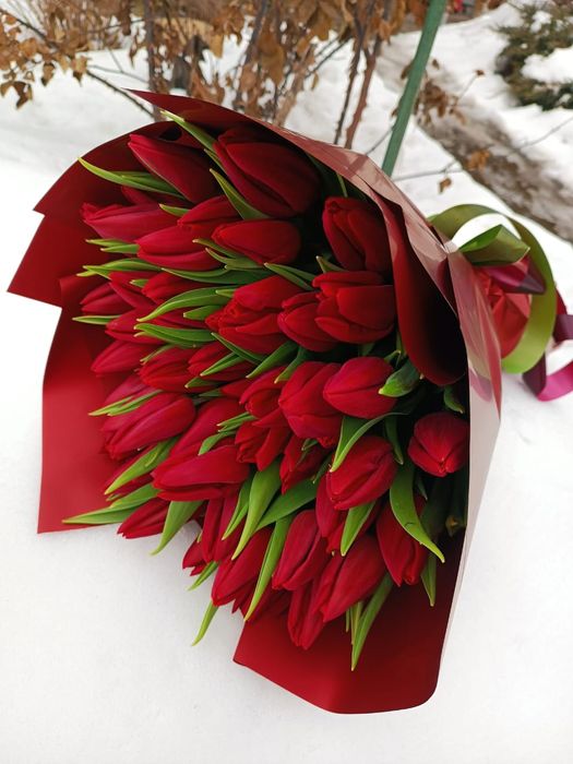 Тюльпаны оптом на 8 марта