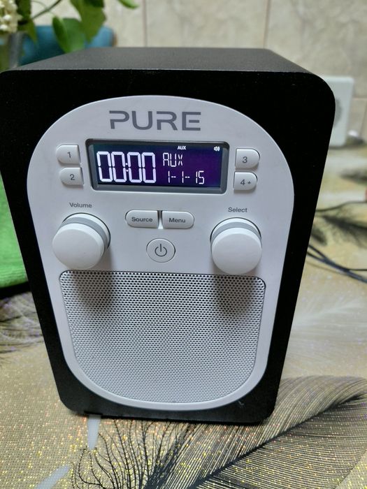 Vind radio Pure evoke d1