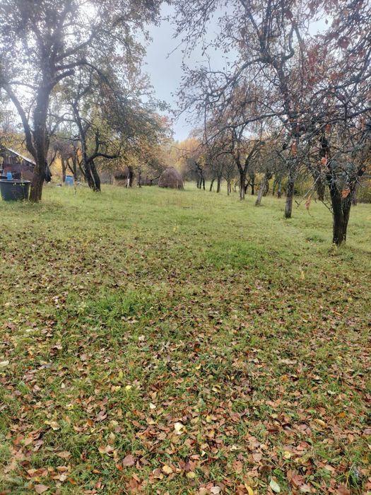 Vând casă cu teren