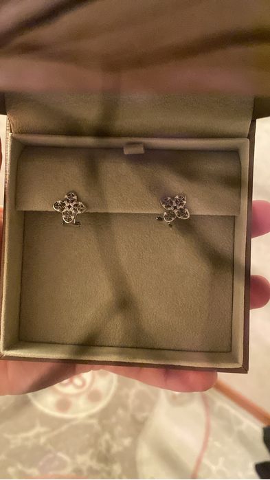 Серьги и цпеочка