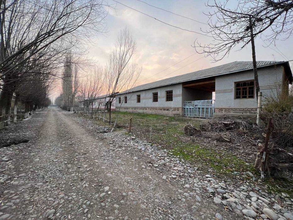 Samarqand Jomboy tumanida uchastka sotiladi