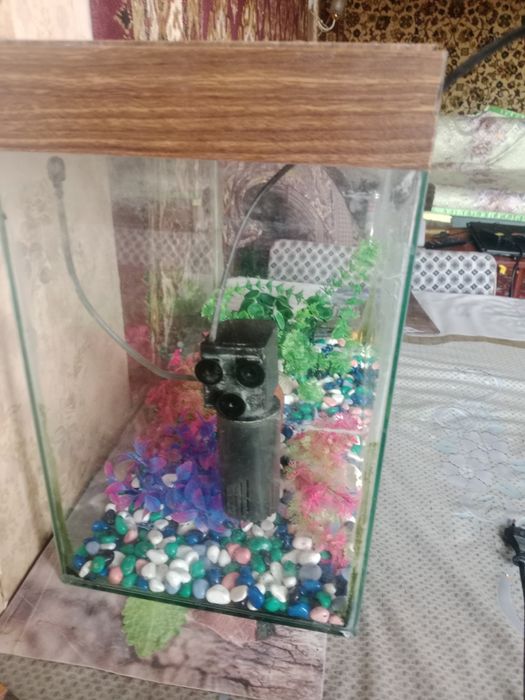 Продам аквариум бу