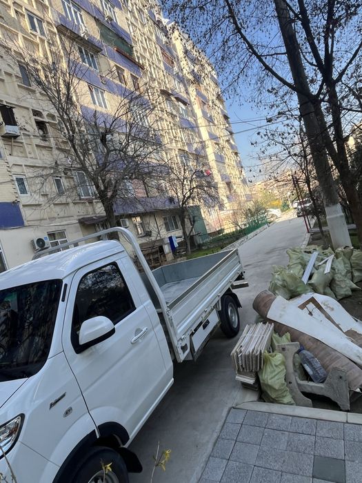 Musir olib ketish vivoz musur tashish