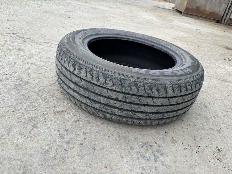 Летние шины Nexen