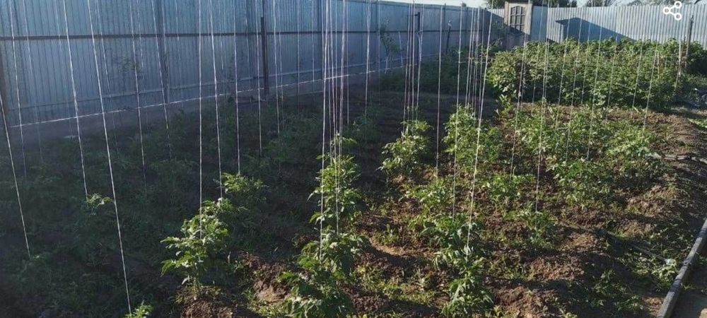 Продается дача (11 соток)