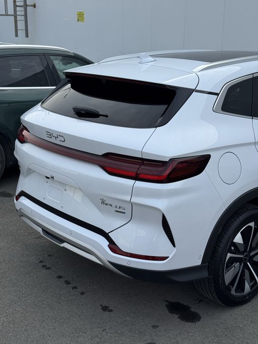 Bud song champion smart/ 2600km пробег