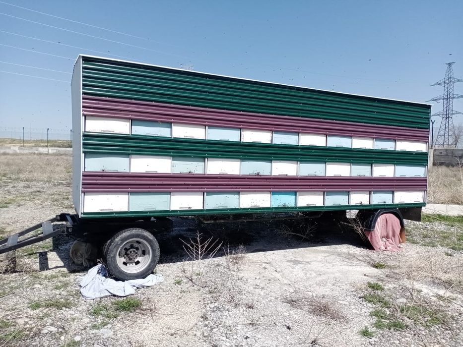 Пчеловодческий прицеп