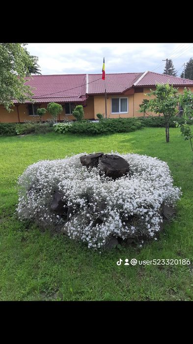 Casa de vânzare Coroi