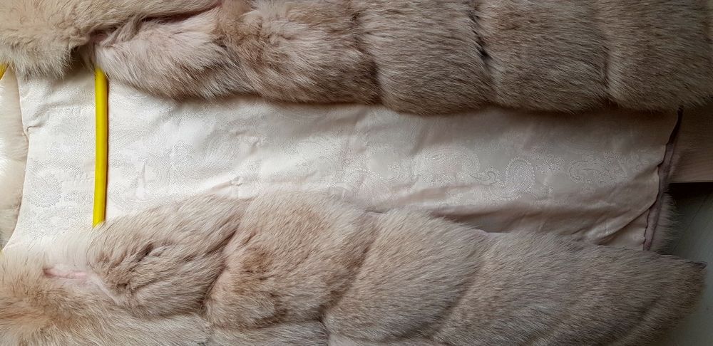 Елек полярна лисица