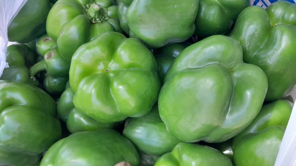 Болгарский светофор