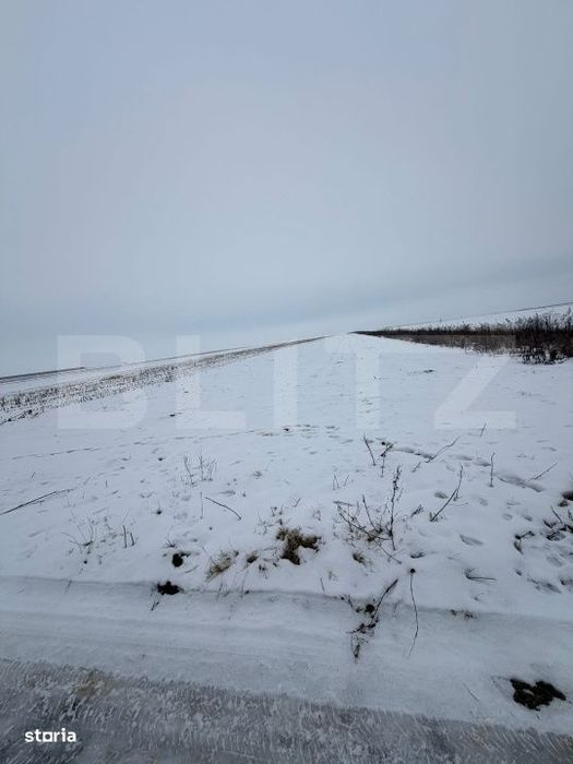 Teren de vanzare, 9000 mp, cartier Izvor - Tarlungeni - 105.000 euro