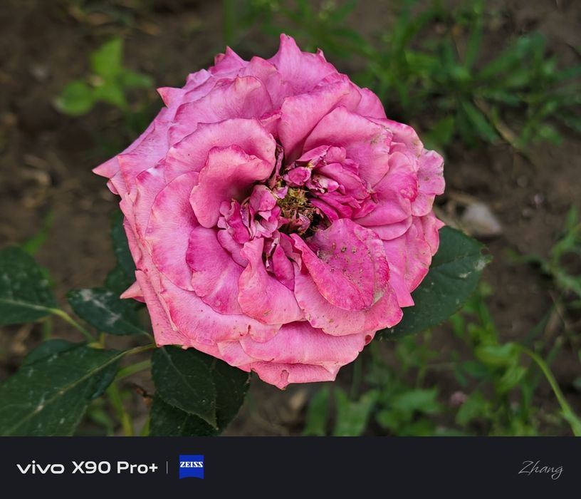 Продам Vivo X90 pro+