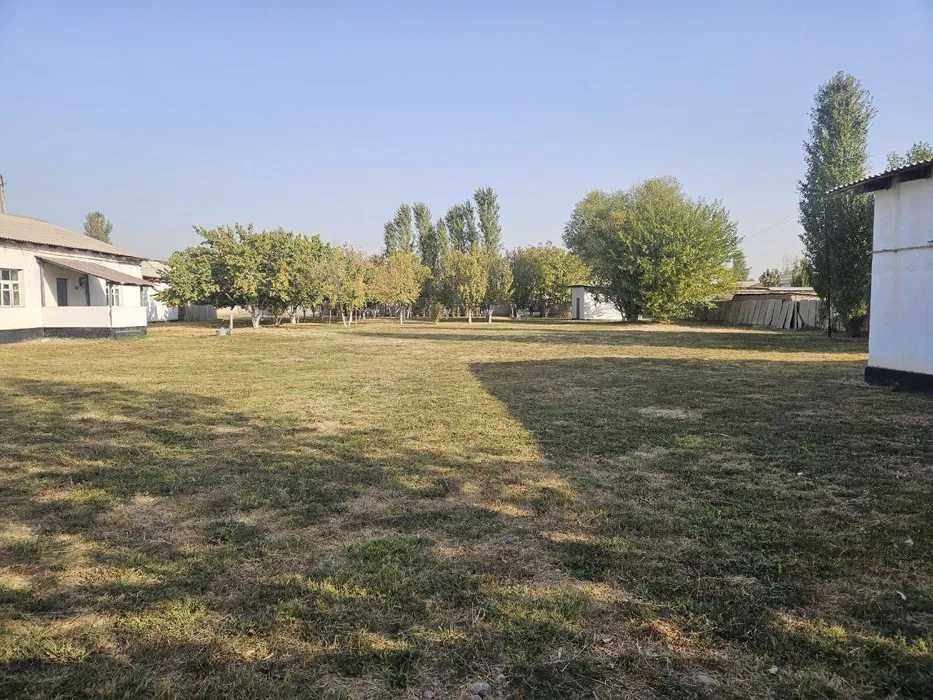 Земля, участок, дом, коттедж 50 соток