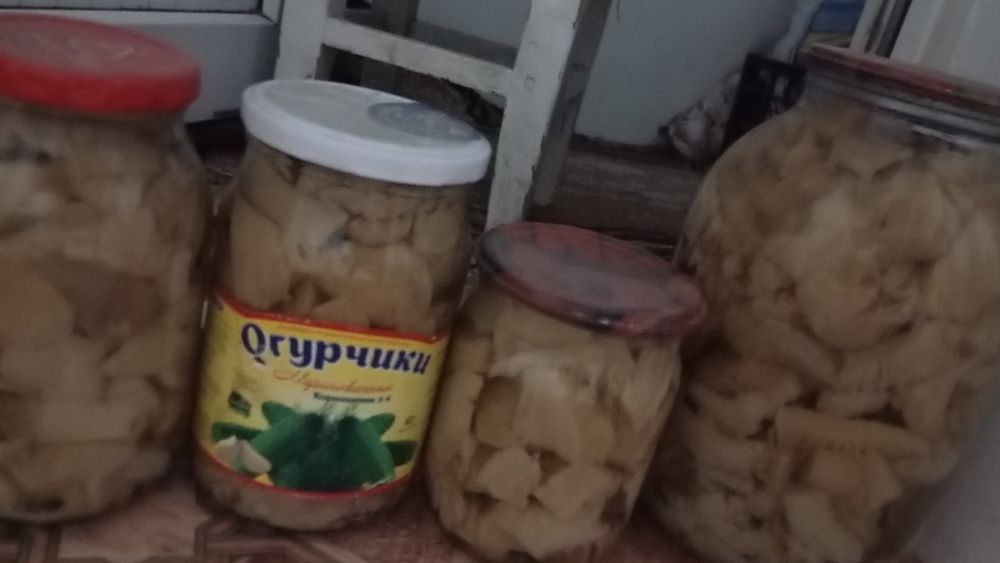 Комнатные цветы ,  грибы