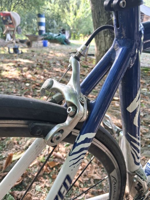 Cursiera  specialized  allez elite