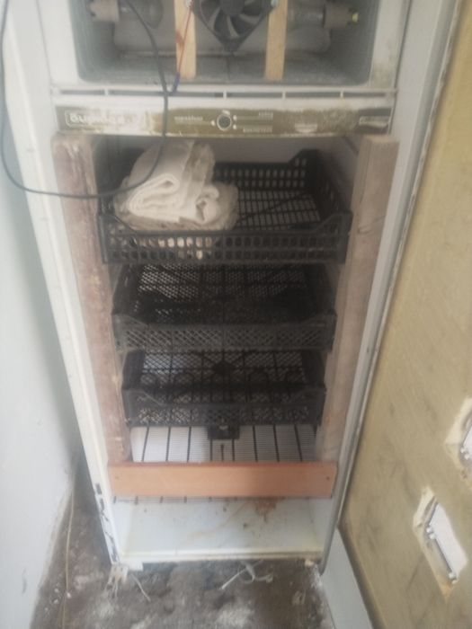 Жақсы істеп тұр.