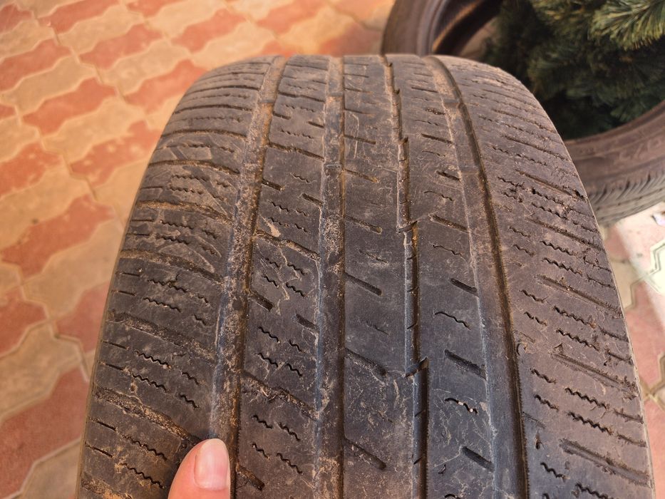 255/50/19 toyo лето
