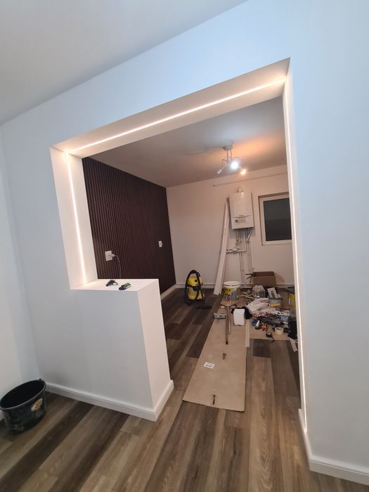 Constructor profesionist