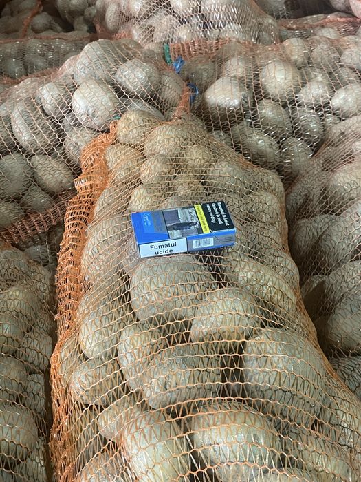 Cartofi consum,belarosa,captiva,arizona