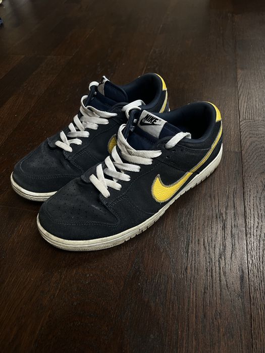 Nike dunk low CT93