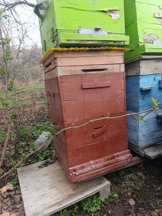Улья для пчел  продам