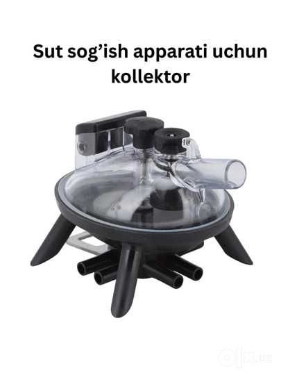 Sigir sog‘ish apparati uchun sut kollektori