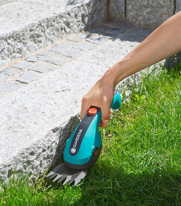 Обрезка деревьев, уборка сада, дезинфекция Садовник Богбон.