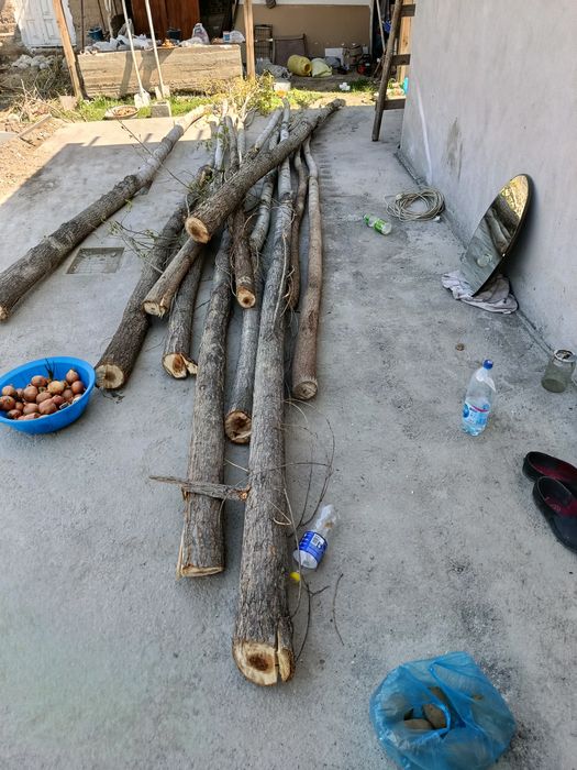 Тераклар сотилади