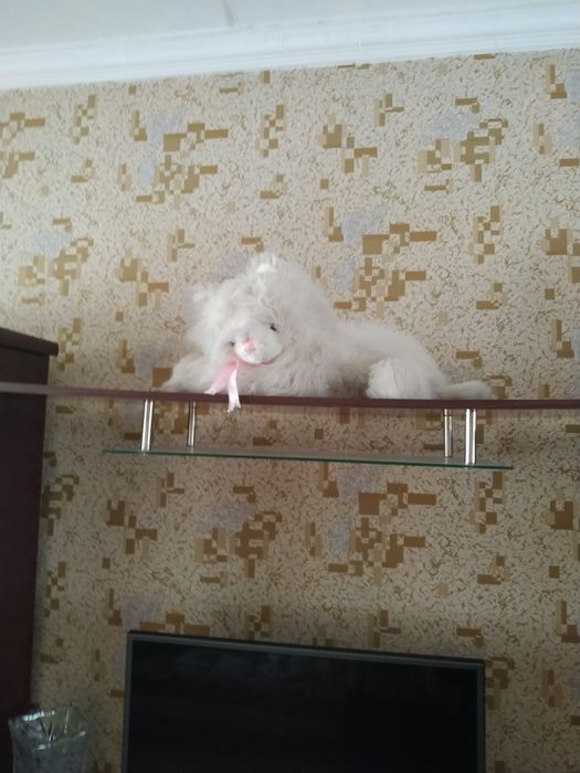 Большие мягкие игрушки - собака, медвежонок, кот. В отличном состоянии