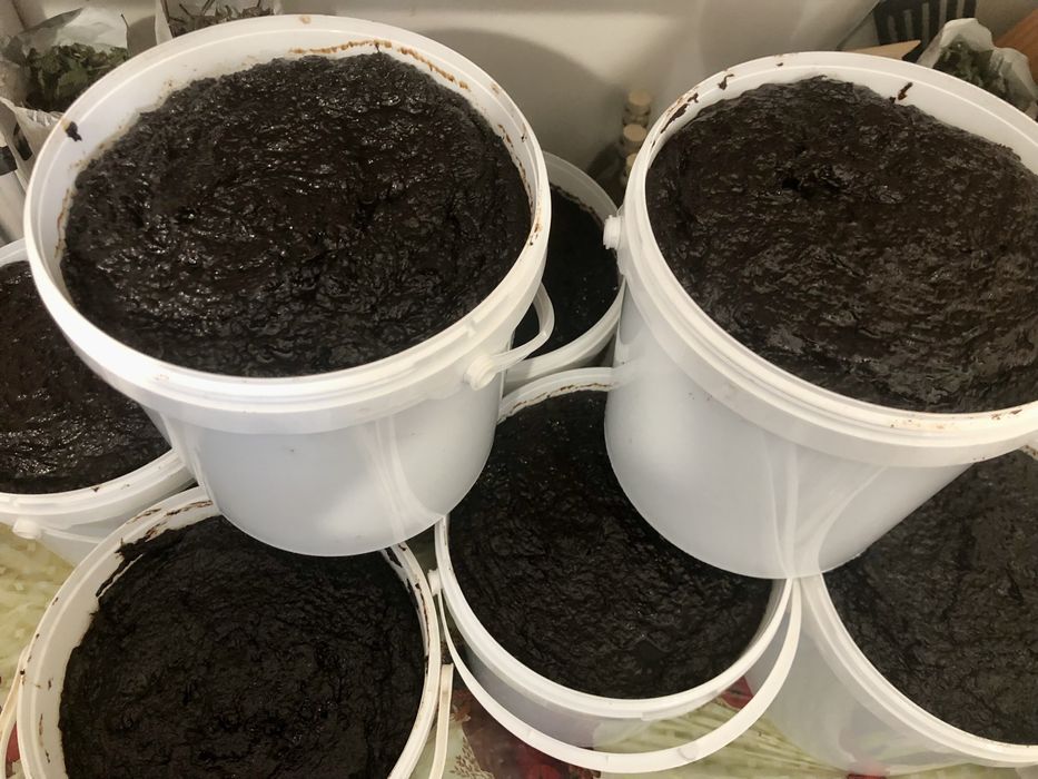 Vand magiun de prune/silvoita fara zahar