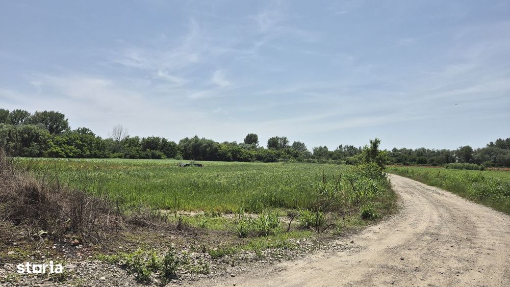 Teren 1600 mp de Inchiriat | 2 Deschideri | Oras Magurele