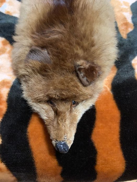 Цял пелет от лисица – естествен косъм, отлично състояние