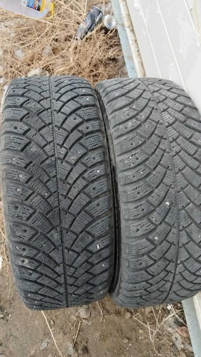 Пакришка 205.50.R17