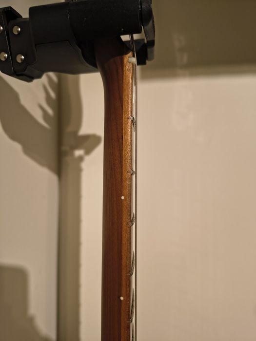 Larry Carlton (Sire) S7 II / Ibanez RGA42FM