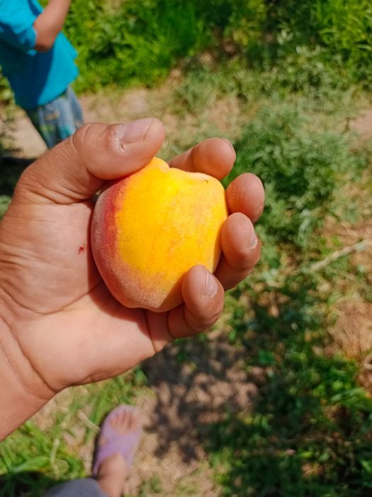 Продам земельный участок