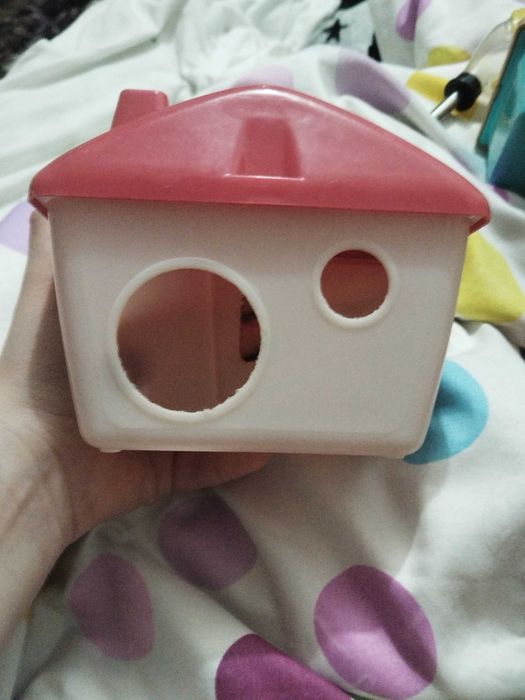 Вещи для грызунов