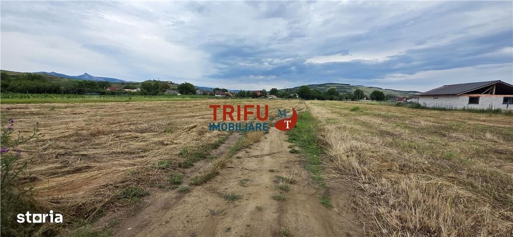 Teren de vanzare in Sard cu suprafata de 1374 mp