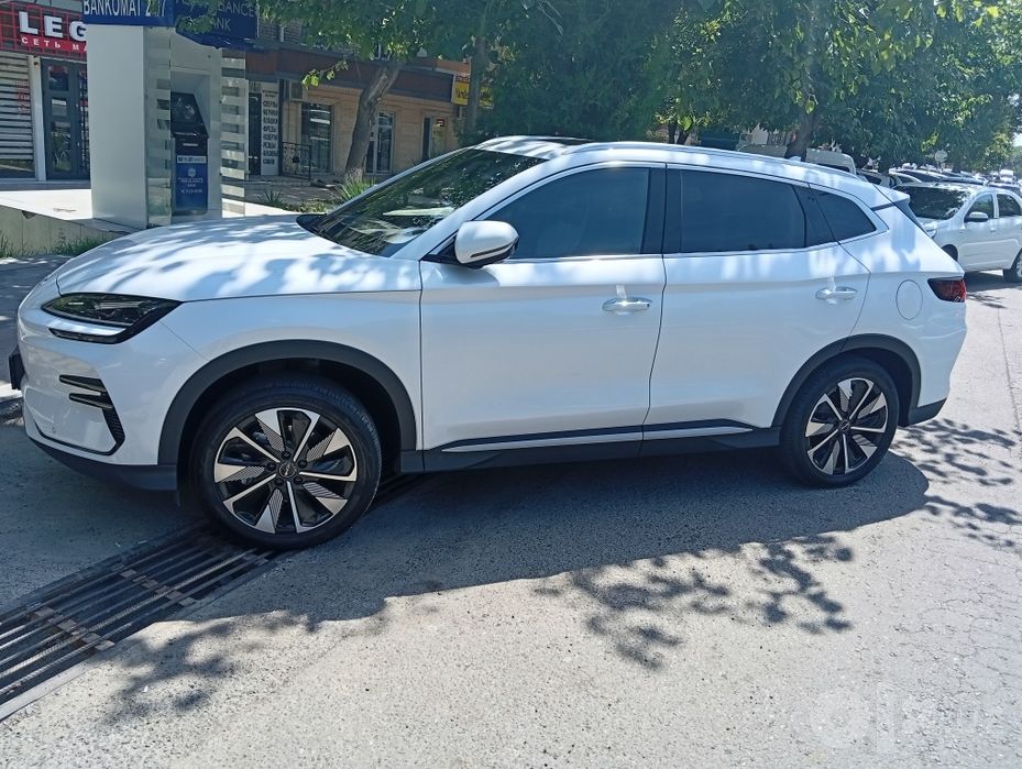 BYD Chamoion restaling